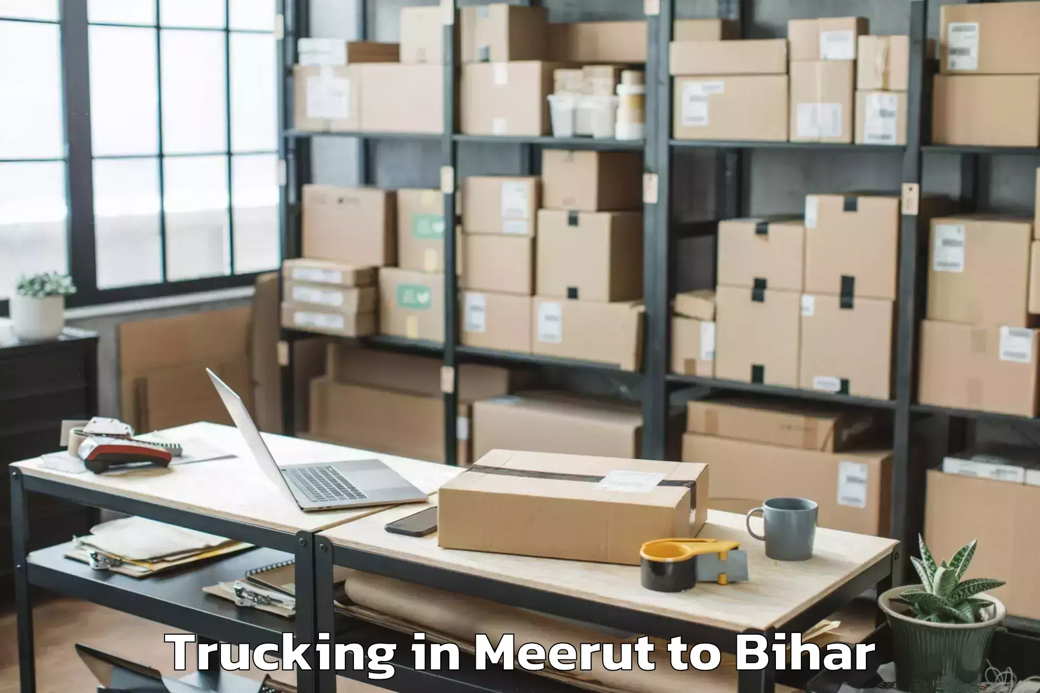 Book Meerut to Bokhra Trucking Online